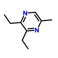 CAS:18138-04-0|2,3-ডাইথাইল-5-মিথাইলপাইরাজিন